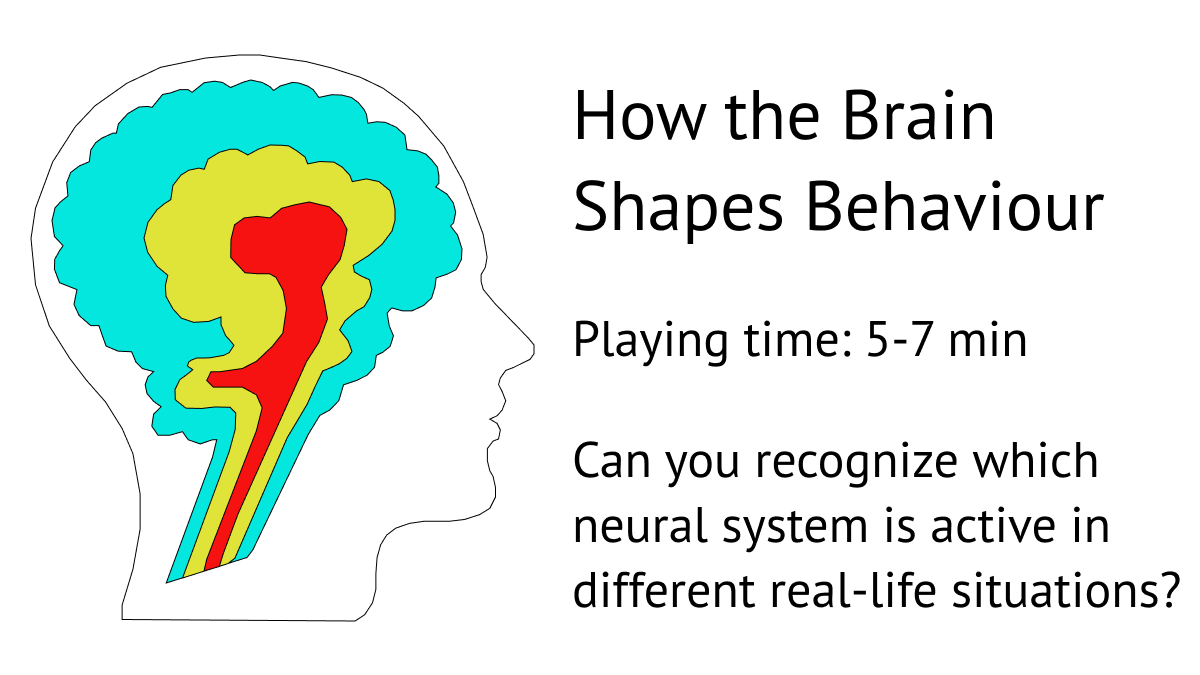 Preview image for How the Brain Shapes Behavior